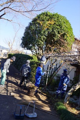 奉仕作業 2013 冬