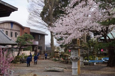 十輪寺様 梅花観音霊場参拝 -no.2